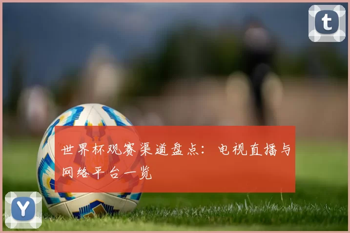 世界杯观赛渠道盘点：电视直播与网络平台一览