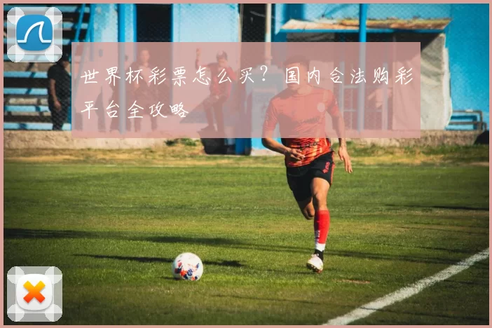 世界杯彩票怎么买？国内合法购彩平台全攻略