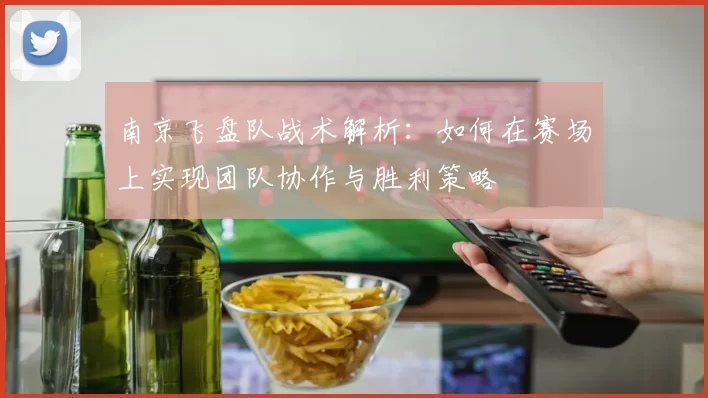 南京飞盘队战术解析：如何在赛场上实现团队协作与胜利策略