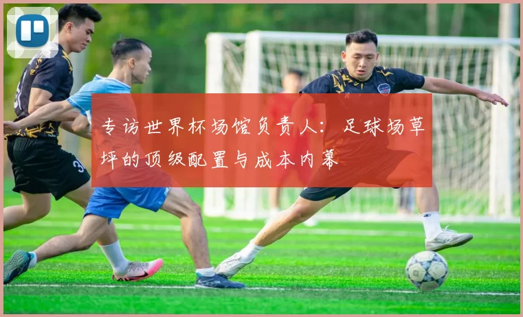 专访世界杯场馆负责人：足球场草坪的顶级配置与成本内幕