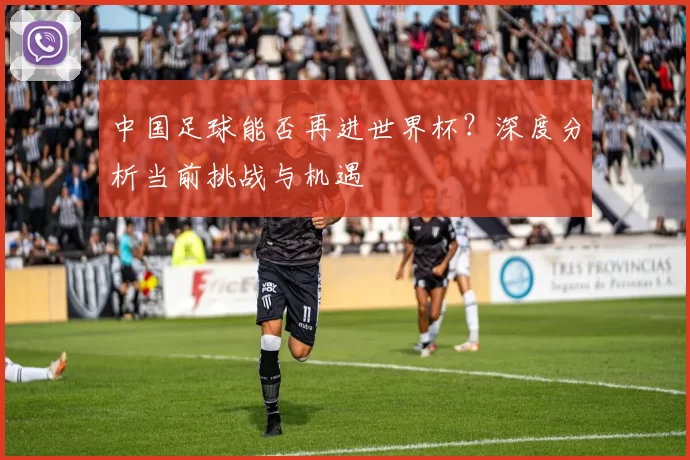 中国足球能否再进世界杯？深度分析当前挑战与机遇