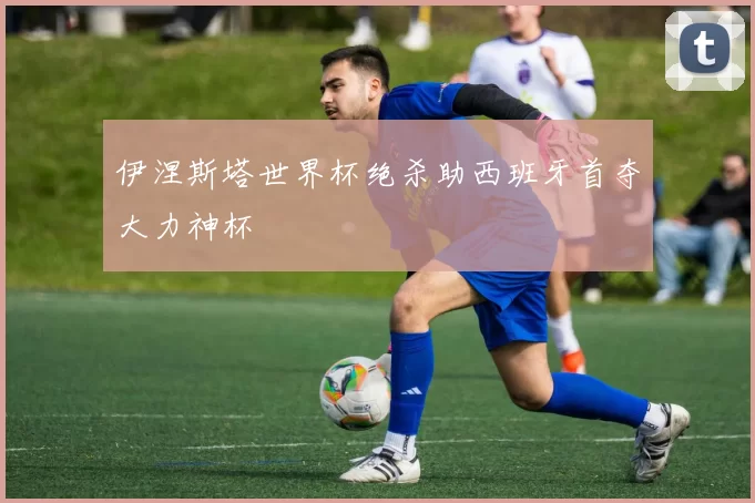 伊涅斯塔世界杯绝杀助西班牙首夺大力神杯
