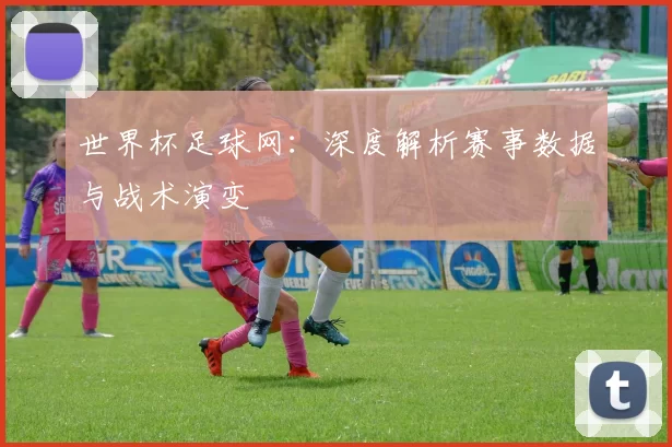 世界杯足球网：深度解析赛事数据与战术演变