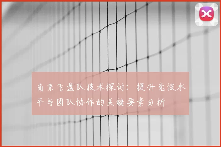 南京飞盘队技术探讨：提升竞技水平与团队协作的关键要素分析