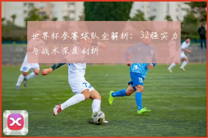 世界杯参赛球队全解析：32强实力与战术深度剖析
