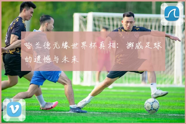 哈兰德无缘世界杯真相：挪威足球的遗憾与未来