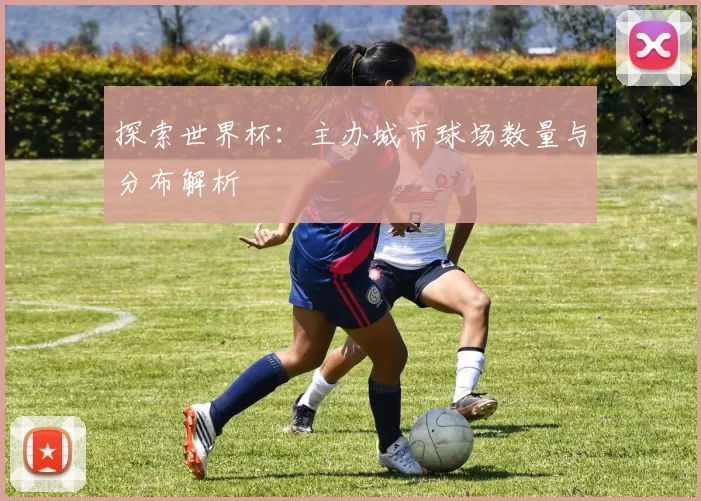 探索世界杯：主办城市球场数量与分布解析