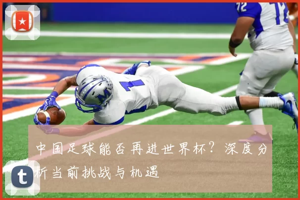中国足球能否再进世界杯？深度分析当前挑战与机遇