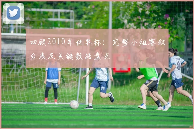 回顾2010年世界杯：完整小组赛积分表及关键数据盘点