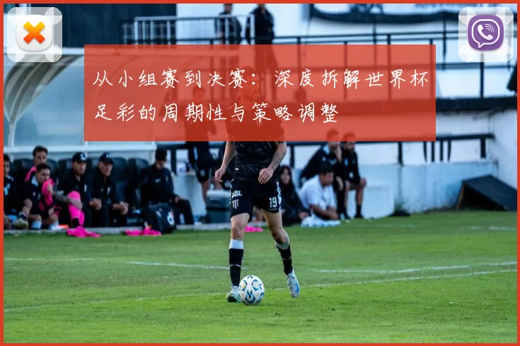 从小组赛到决赛：深度拆解世界杯足彩的周期性与策略调整